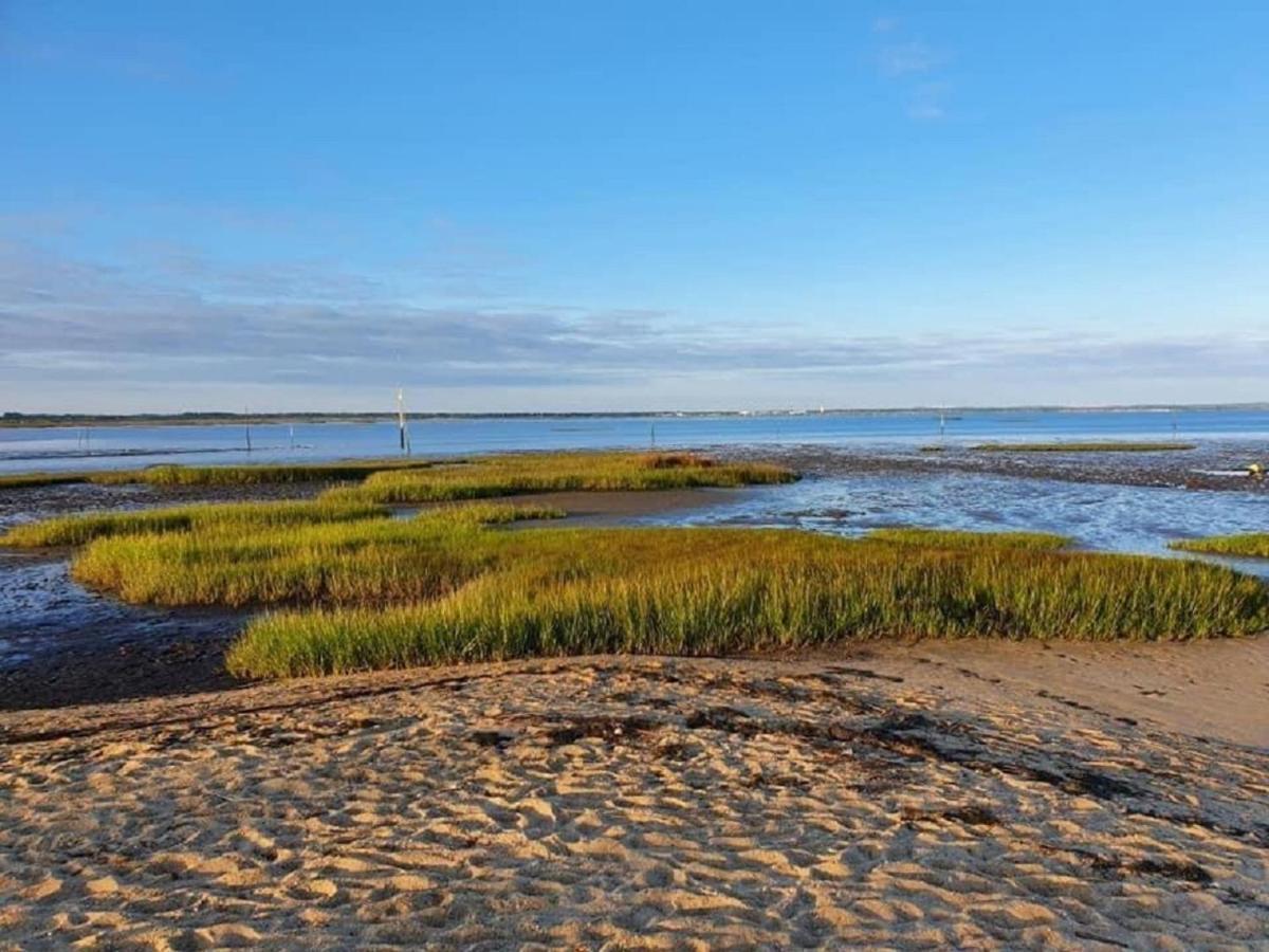 Au Coeur Du Bassin D'Arcachon,Tres Bel Appartement Avec Terrasse Audenge Exteriér fotografie