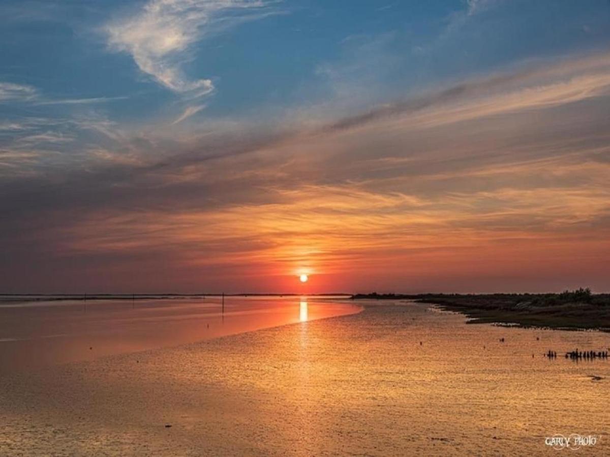 Au Coeur Du Bassin D'Arcachon,Tres Bel Appartement Avec Terrasse Audenge Exteriér fotografie