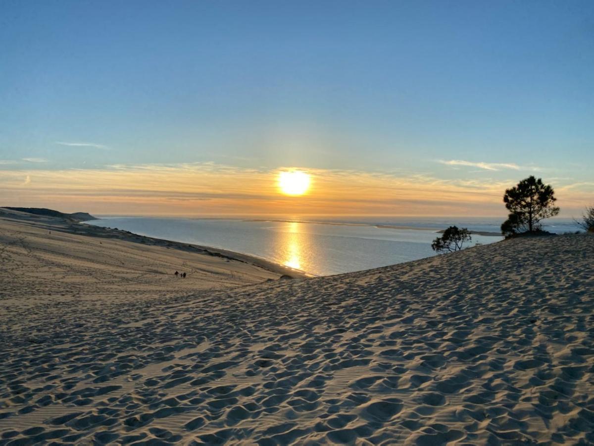 Au Coeur Du Bassin D'Arcachon,Tres Bel Appartement Avec Terrasse Audenge Exteriér fotografie